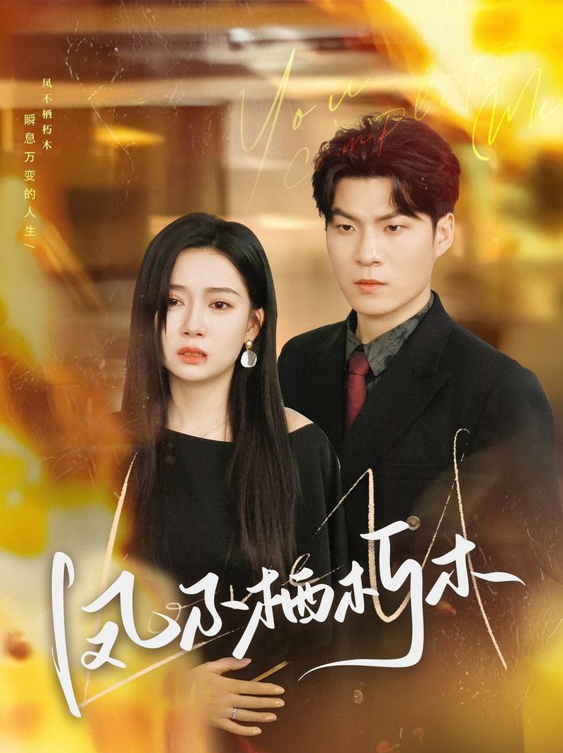 凤不栖朽木 第01-30集