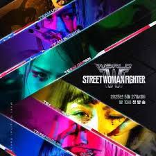 世界街头女斗士3