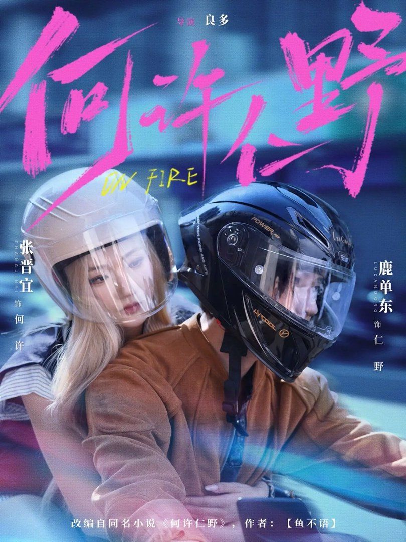 何许仁野 第01-30集