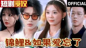 如果爱忘了（锦鲤） 第01集