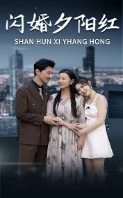 闪婚夕阳红 第01集