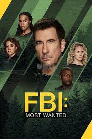 联邦调查局：通缉要犯 第六季 第06集