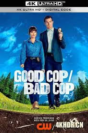 好警察-坏警察 第06集