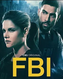 联邦调查局 第四季(全集)