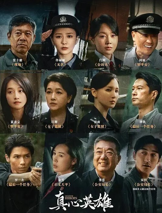 真心英雄 2025(全集)