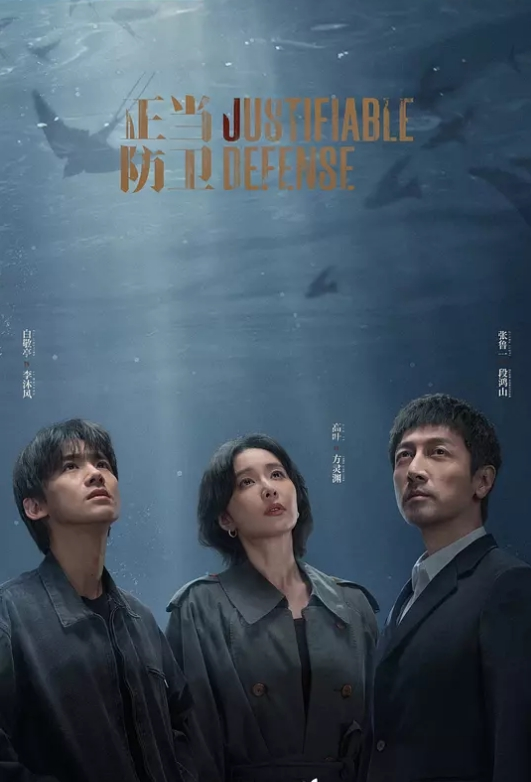 正当防卫 2025(全集)