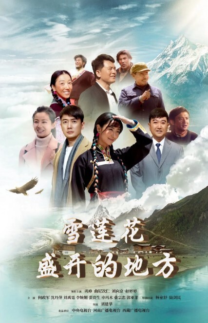 雪莲花盛开的地方