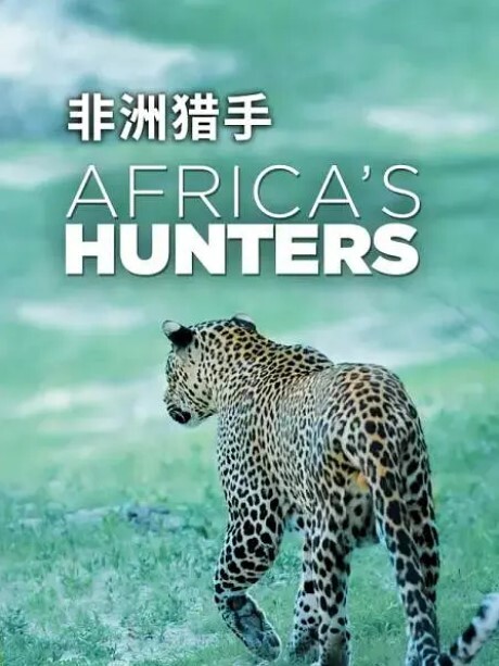非洲猎手们 第一季 第1集