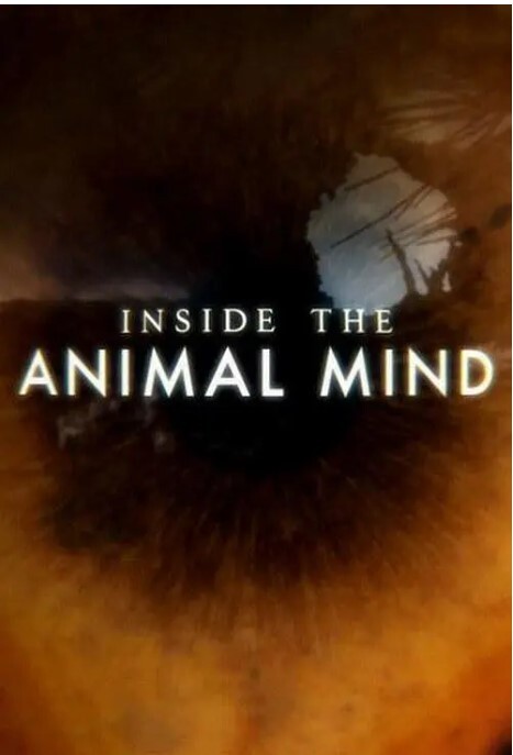 动物心智(全集)