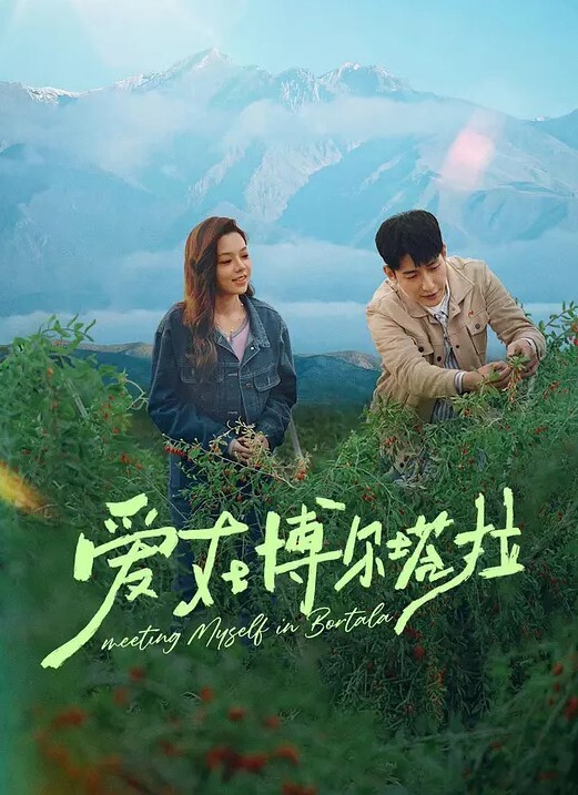 爱在博尔塔拉(全集)