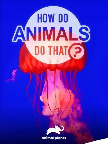 动物奇门功夫 第一季(全集)