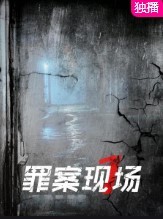 罪案现场 第一季(全集)