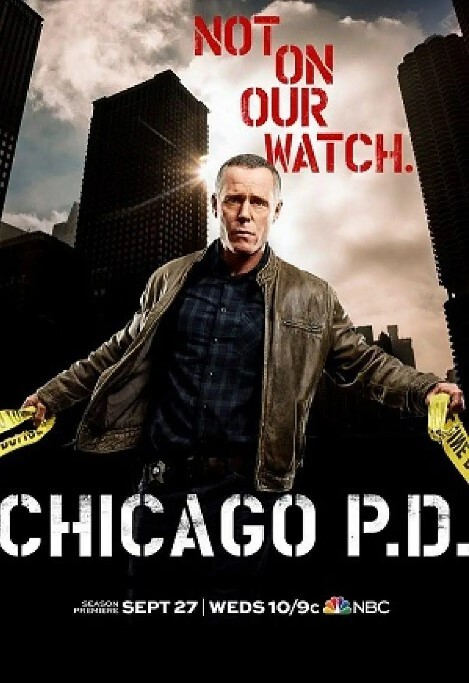 芝加哥警署 第五季(全集)