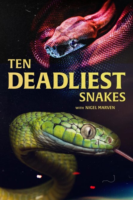 十大毒蛇 第一季 第1集