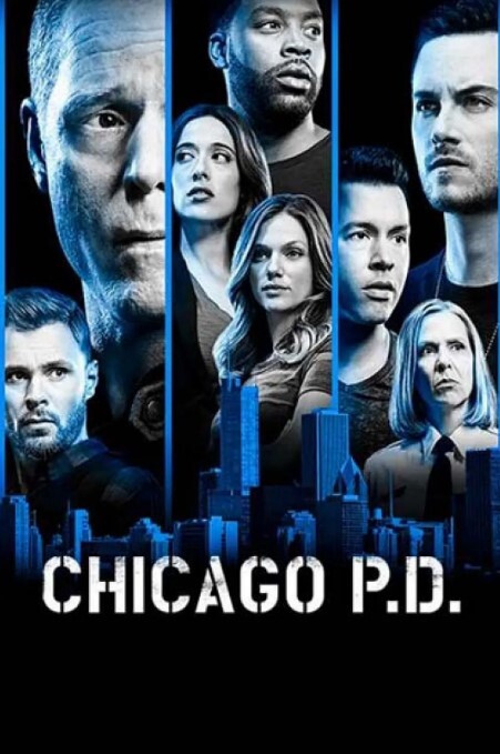 芝加哥警署 第六季(全集)