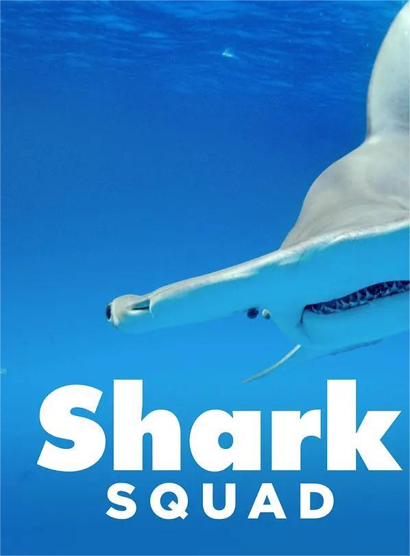 鲨鱼小队 第一季(全集)