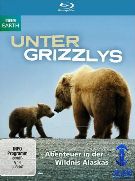 灰熊全接触(全集)