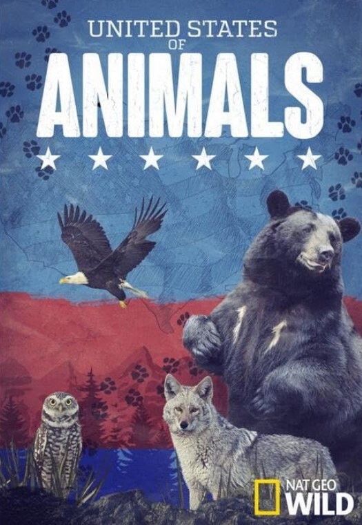 动物美国 第1集