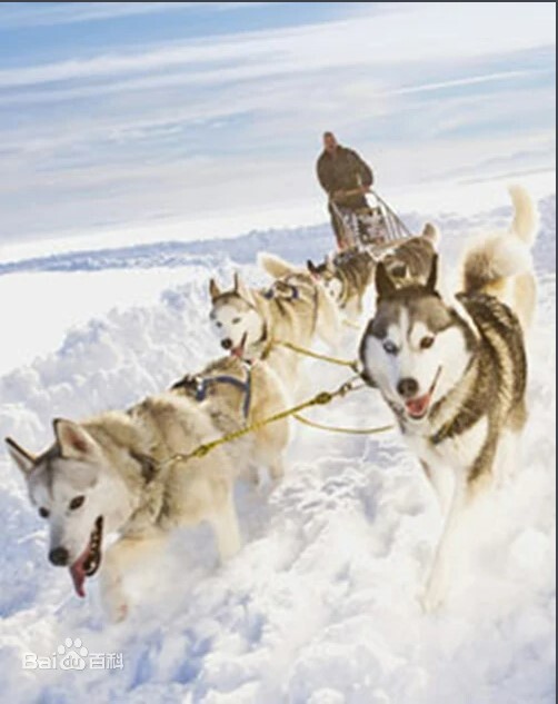 玩转体育 第1集