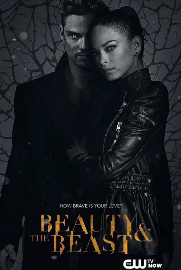 侠胆雄狮 第三季(全集)