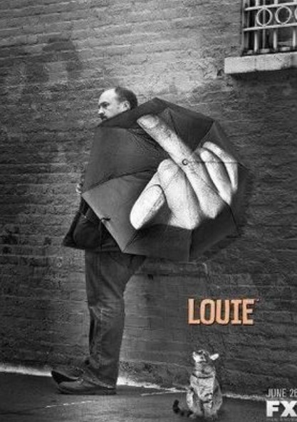 路易不容易 第五季(全集)