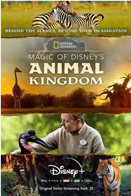 迪士尼动物王国 第一季(全集)