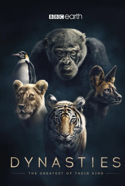 王朝 第一季(全集)